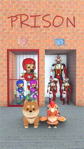 DOGS THINK THEY ARE COOL #dog #chicken #funny #shots