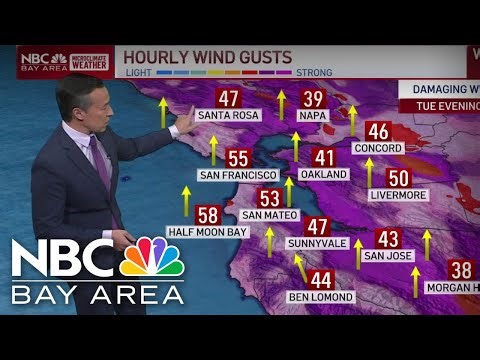 Forecast: High wind warning and what to expect with new Bay Area storm