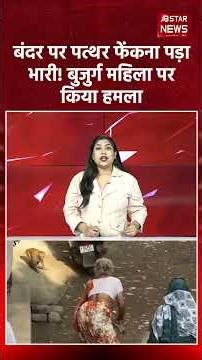 A stone was thrown at a monkey and the attack backfired; the viral video caused a stir. Delhi Mon...