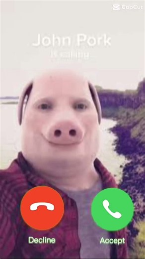 John Pork is calling 👆 #meme #memes