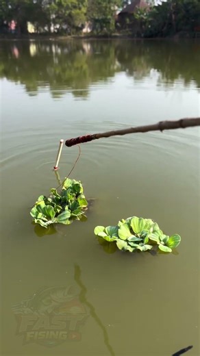 I Caught a MONSTER Bass in 10 Seconds!! 😱🎣 #Shorts