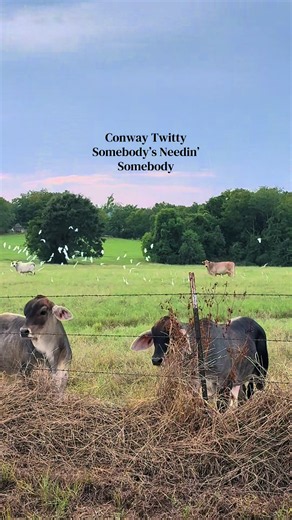 Conway Twitty Somebody’s Needin’ Somebody — Classic Country Song