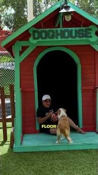 She Was Afraid of the Floor. Watch What I Reward | Life at the Ranch