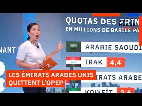 Les Émirats quittent l’OPEP : quelles conséquences ?