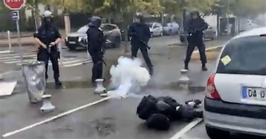 The French Teen Maimed During School Unrest by Tear Gas Grenade