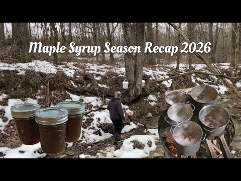 Homemade Kentucky Maple Syrup Season Recap 2026