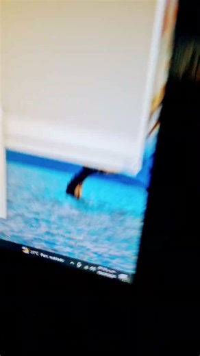 pov: te instalas 1000 virus en la pc