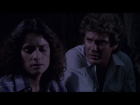 Night in the Swamp | Knight Rider