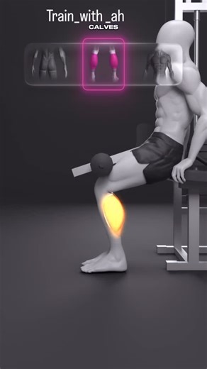 AH Fitness | Bodybuilding & Aerobics 🇱🇧 on Instagram: "Training your calves (lower-leg muscles) has several solid benefits—both for sports and everyday movement. Here’s a clear, teen-safe breakdown: 🏃‍♂️ Performance & Movement • Better running and jumping – Strong calves help you push off the ground more powerfully. • Faster acceleration – Important for sports like soccer, basketball, track, and football. • Improved endurance – Calves work constantly when you walk or stand, so training them h