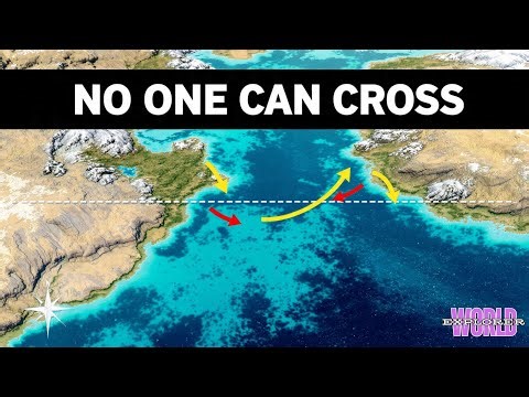 Japan | The Land of Paradoxes and Resilience | World Explorer