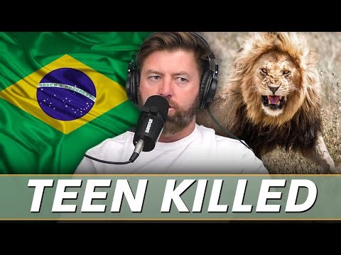 Man Killed After Lion Attack at Zoo in Brazil
