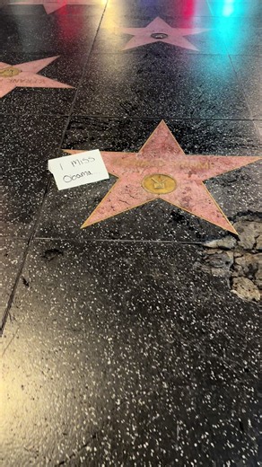 It’s Day 291 at Donald Trump’s Hollywood Star! #donaldtrump #hollywood #california