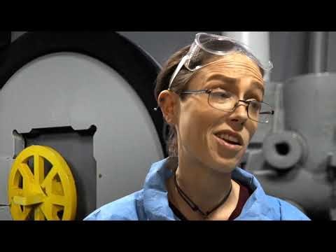 Alien PARASITE preview 4