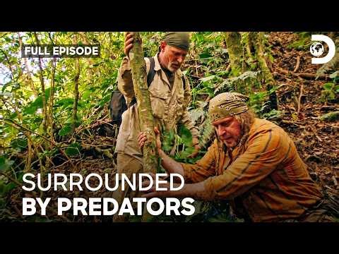 Wild Survival In South Africa | Dual Survival S2 E2,4,6,9 | Discovery Channel India