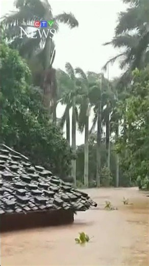 Flooding from a typhoon unleashes hundreds of snakes in southern China