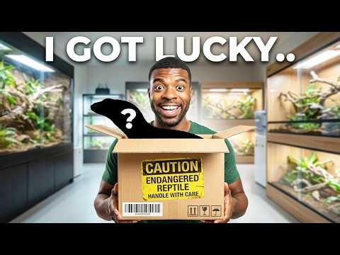 I Can’t Believe I Own This Rare Monitor Lizard…