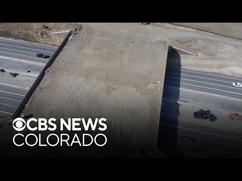 Largest wildlife overpass in North America opens in Colorado: "It's a win-win"