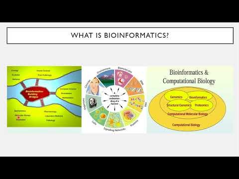 Bioinformatics Course (Lecture 1) - Introduction to Bioinformatics