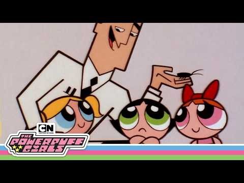 Life Lessons From The Powerpuff Girls | Cartoon Network