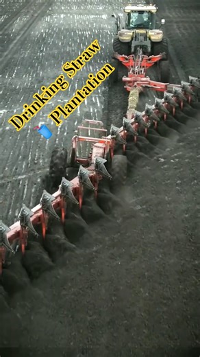 Series 77 Drinking Straw🥤Plantation #ecofriendly #shortsfeed #businessideas #startup #business