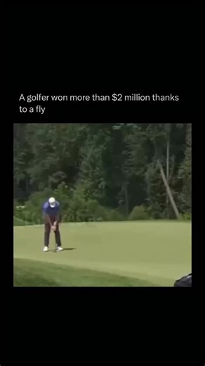 Unfolded Physics on Instagram: "During the BMW Championship, golfer Tommy Fleetwood had one of the most bizarre moments ever caught on camera — all thanks to a tiny fly. On the second hole, Fleetwood’s 28-foot putt rolled perfectly toward the cup but stopped right on the lip, frozen in suspense. As the crowd held its breath, a replay revealed something wild: a small fly landed on the ball, crawled across it… and just then, the ball dropped in for a birdie. The moment instantly went viral, sparki