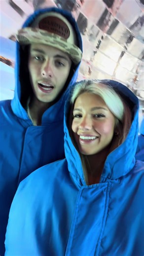 Ice Sculpture Display at the Marriott Hotel