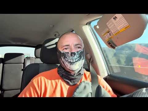 Aliens, are they real?