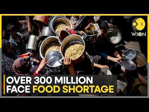 West Asia Tensions Push Millions Toward Hunger As Global Food Crisis Deepens | WION