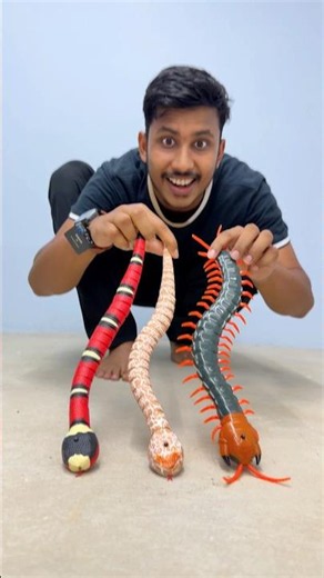 Remote Control Snake 3 ta Unboxing