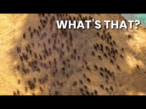 Experts Discover a Classified Mars File… Then One Hidden Image Leaves Them Frozen