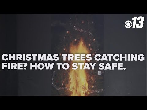 Your Christmas tree could combust! Here's how to keep your home safe from fires during the holidays