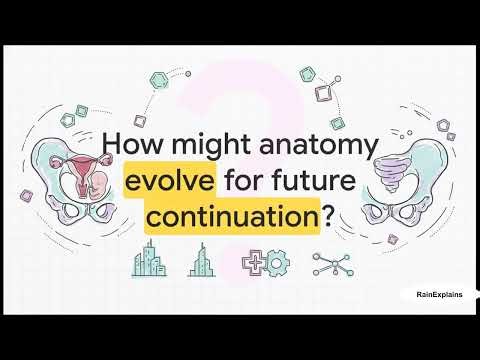 Reproductive System (Offspring)