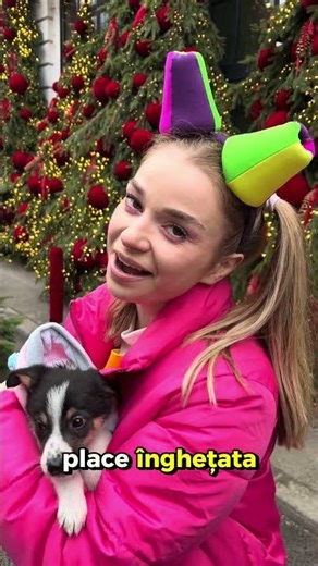 Haide să vezi nou membru Zurli