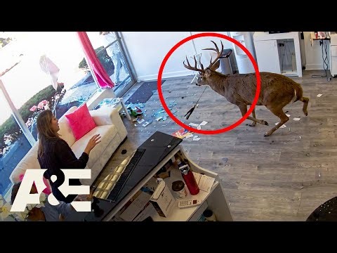 Customer Wars: NYC Chaos Turns Dangerous *Compilation* (Part 2) | A&E