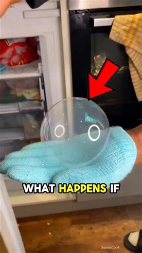 Man Freezes a Bubble Overnight!😱