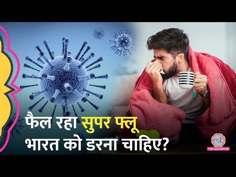 UK के बाद US, Canada, Pakistan में बढ़े Super Flu के मामले, इस Influenza Virus से कैसे बचें?