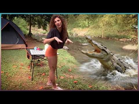 99 Most BRUTAL ANIMAL ATTACKS Caught on Camera
