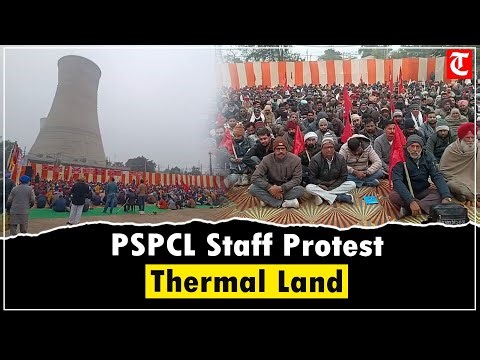 Bathinda: PSPCL Employees, Engineers Protest Sale of Thermal Plant Land Outside Power Station
