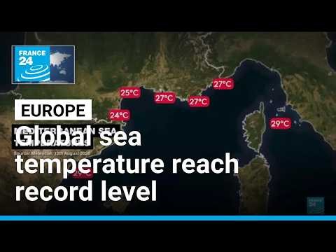 Global sea temperature reach 21 degrees amid heatwaves • FRANCE 24 English
