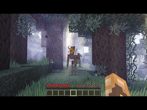 J'ai créé le PLUS BEAU MINECRAFT du MONDE.. (oui et non)