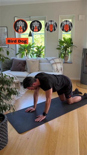 Build a strong core at home 🔥 Try these beginner-friendly exercises you can do anywhere 🤸🏼 Bird Dog 3 x 12 🤸🏼 Superman 3 x 12 🤸🏼 Crunch Reaches 3 x 12 🤸🏼 Plank Knees to Elbow 3 x 12 Browse 1,400  exercises in the BDYCTRL app. #coreworkout #lowerback #homeworkout #workoutfromhome #gymtok