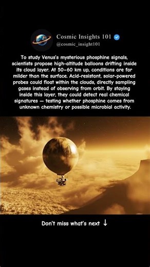 If Life Exists On Venus, It’s Not On The Ground