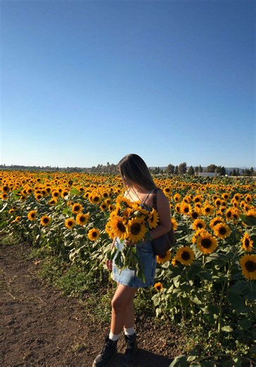 Conejo Family Farms pumpkin patch & sunflower fields — family day ideas