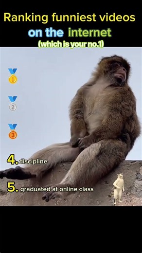 Ranking funniest videos on the internet😂😂😂 #funnyvideos #viralshorts #funny