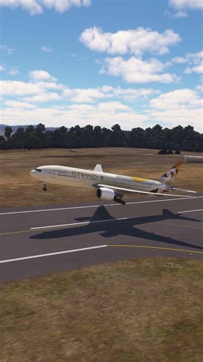 Impossible!!! the plane couldn't land eps 410