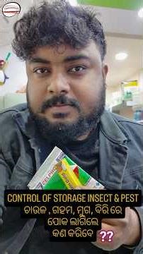 ଧାନ, ଚାଉଳ, ଡାଲିରେ ପୋକ ? Stored Grain Insect Control Solution | Safe & Effective Method