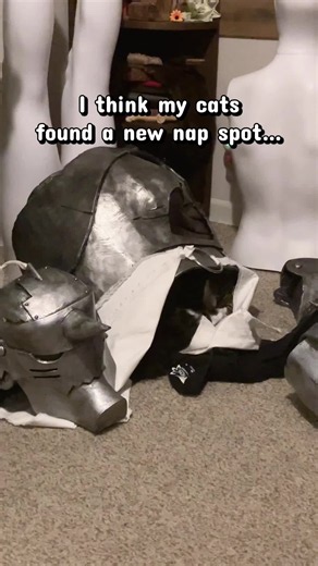 She was snoring like an old man. #fullmetalalchemist #fma #fmacosplay #alphonseelric #fullmetalalchemistcosplay