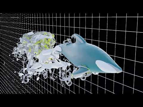 Why dolphins swim so fast: the secrets of eddies