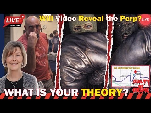 Nancy Guthrie Case Twist: Map of a Killer, Theories Debunked & Sheriff Rejects “Plant Thief” Lead
