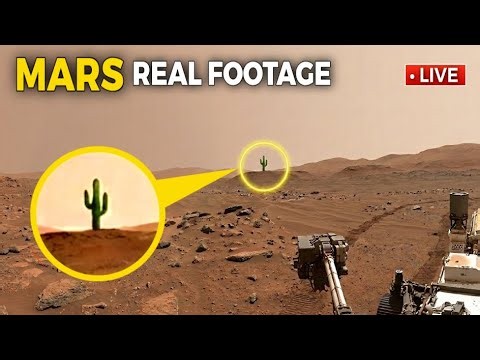 NASA's Perseverance Rover Reveals Most Intriguing 4K Mars Footage (Real Images)
